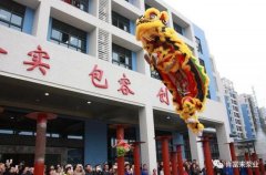 醒狮贺岁，爱游戏最新官网-爱游戏(中国)2019年开工大吉